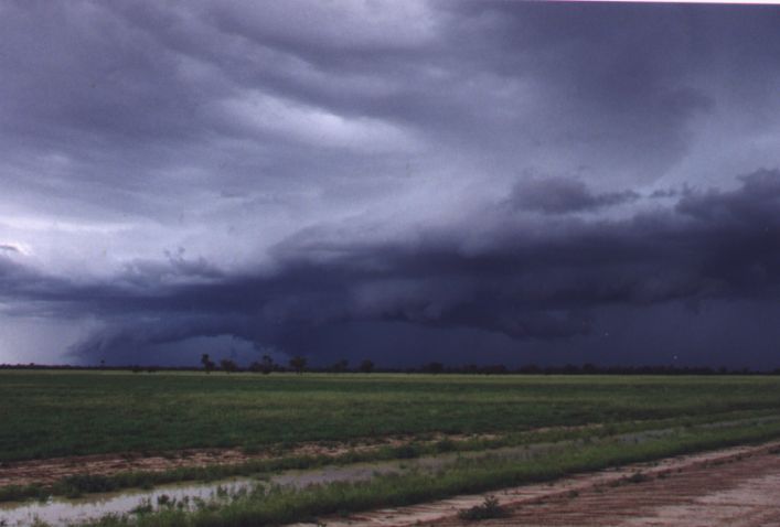 Taken by Anthony Cornelius