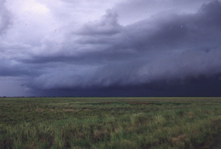 Taken by Anthony Cornelius