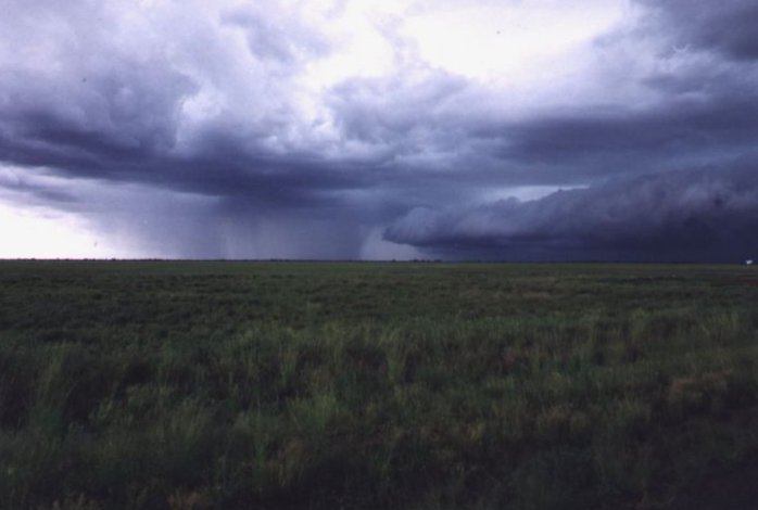 Taken by Anthony Cornelius