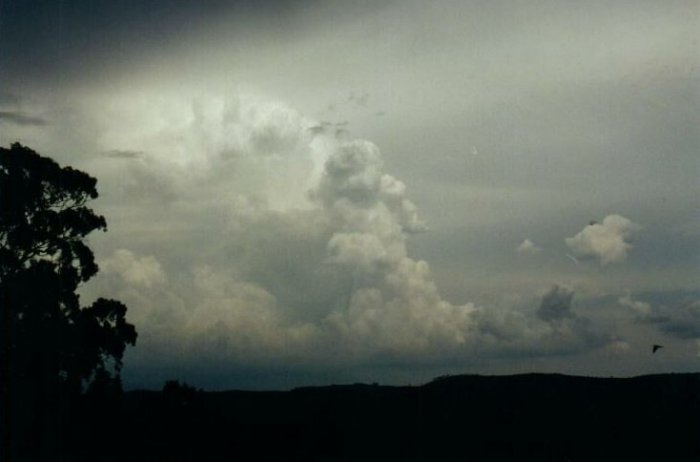 Taken by Anthony Cornelius