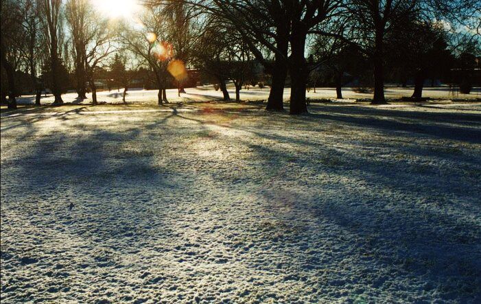 Photo  Anthony Cornelius