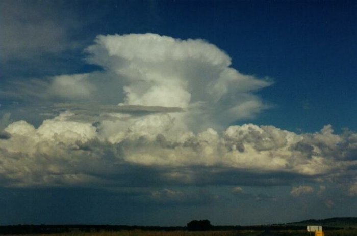 Taken by Anthony Cornelius