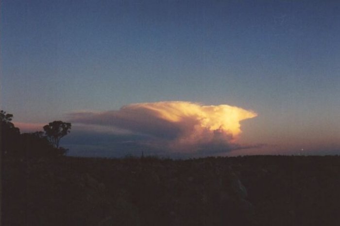 Photo  Anthony Cornelius