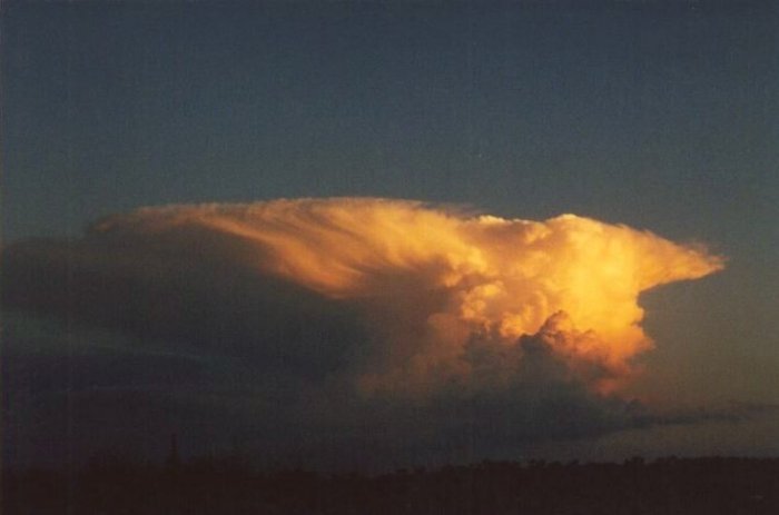 Taken by Anthony Cornelius