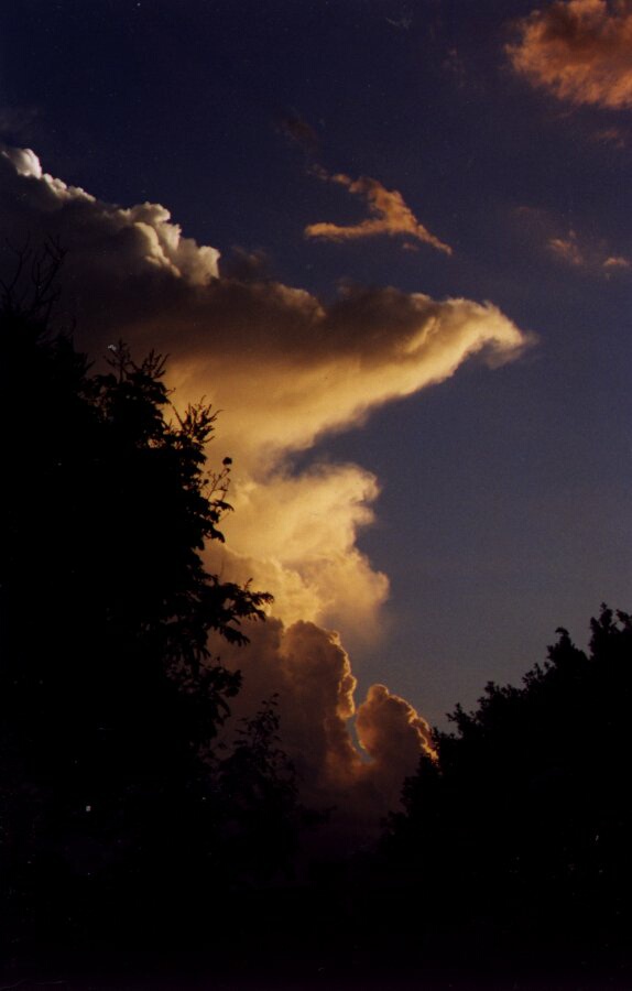 Taken by Anthony Cornelius