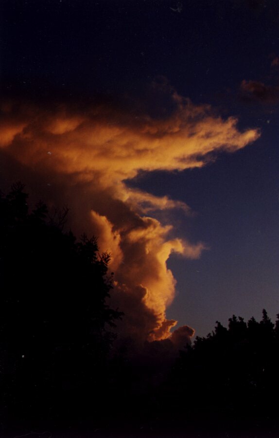 Taken by Anthony Cornelius