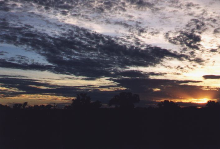 Taken by Anthony Cornelius