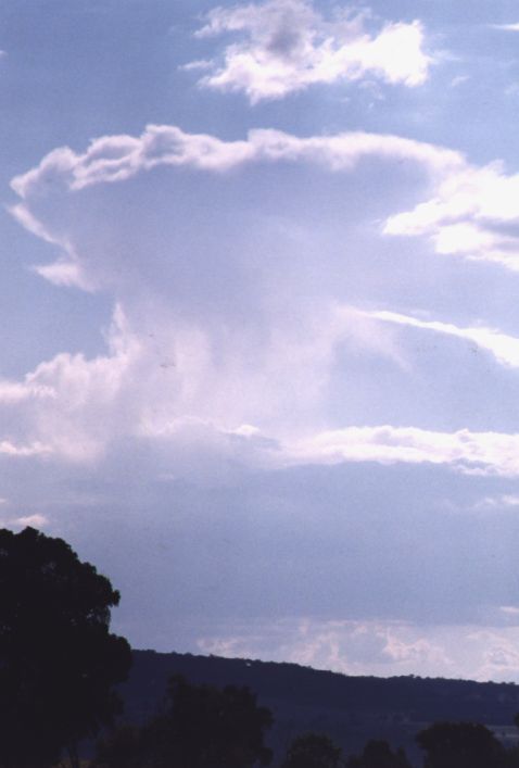 Taken by Anthony Cornelius