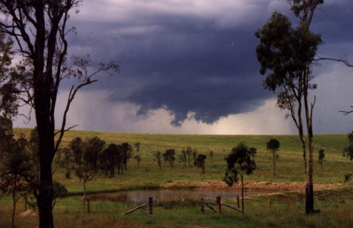 Photo  Anthony Cornelius