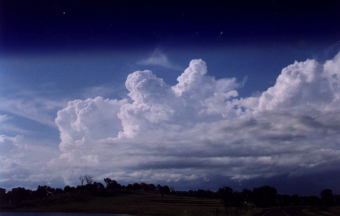 Taken by Anthony Cornelius