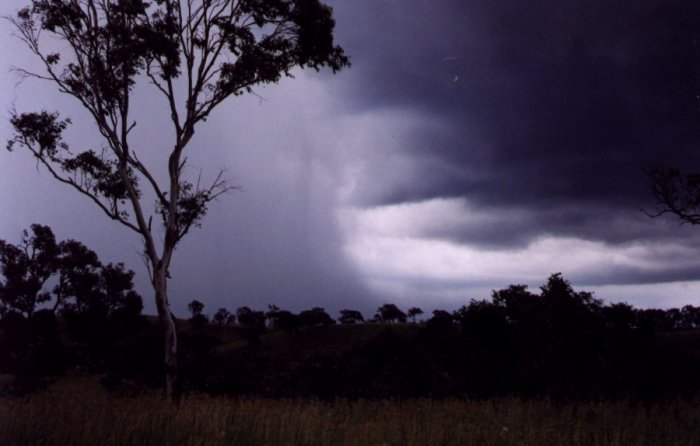 Photo  Anthony Cornelius