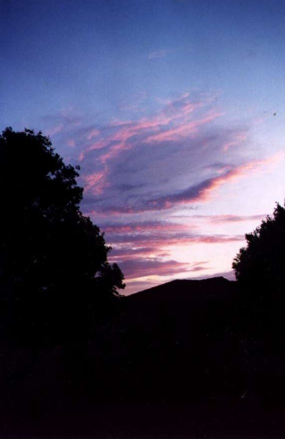 Taken by Anthony Cornelius