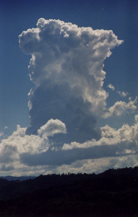 Taken by Anthony Cornelius