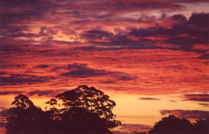 Taken by Anthony Cornelius