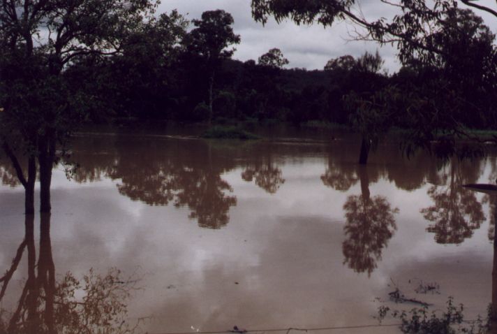 Taken by Anthony Cornelius