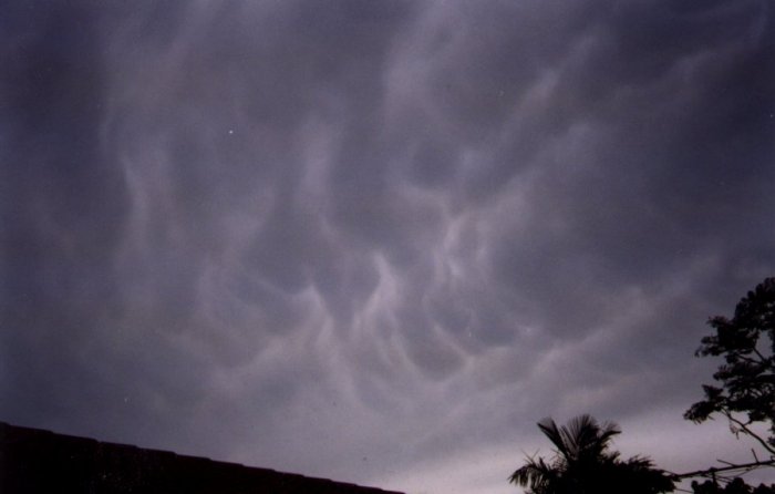 Taken by Anthony Cornelius