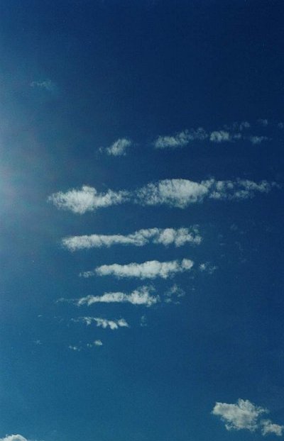 Taken by Anthony Cornelius