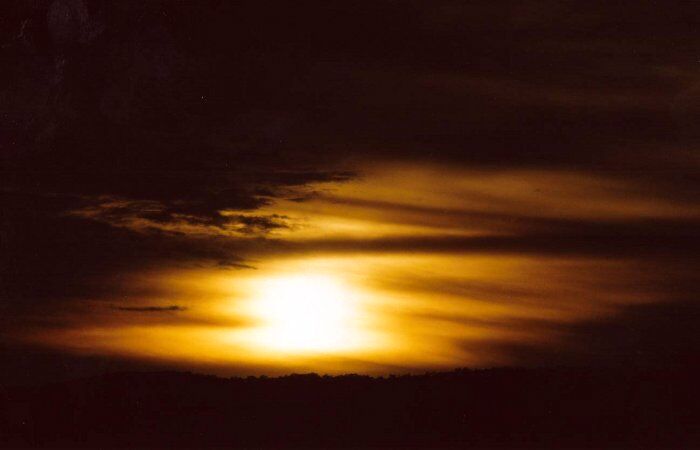 Photo  Anthony Cornelius