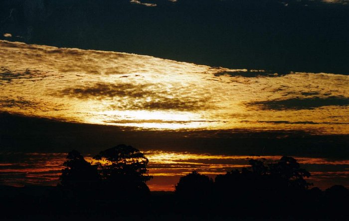 Taken by Anthony Cornelius