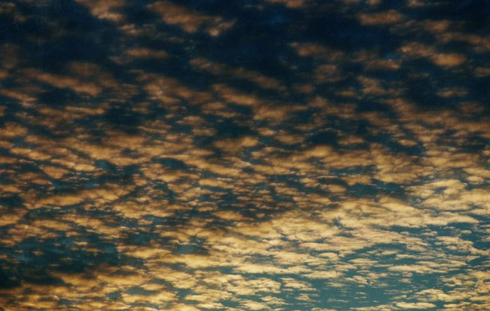 Taken by Anthony Cornelius