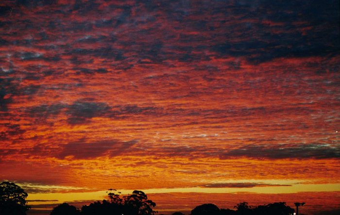 Taken by Anthony Cornelius