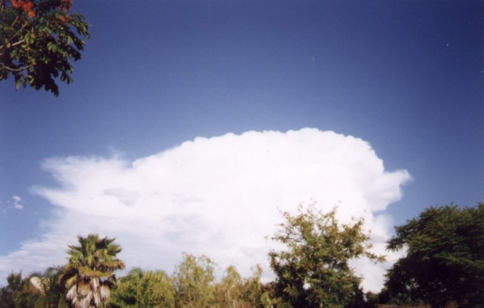 Taken by Anthony Cornelius