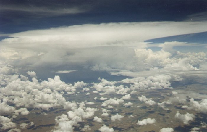 Taken by Anthony Cornelius