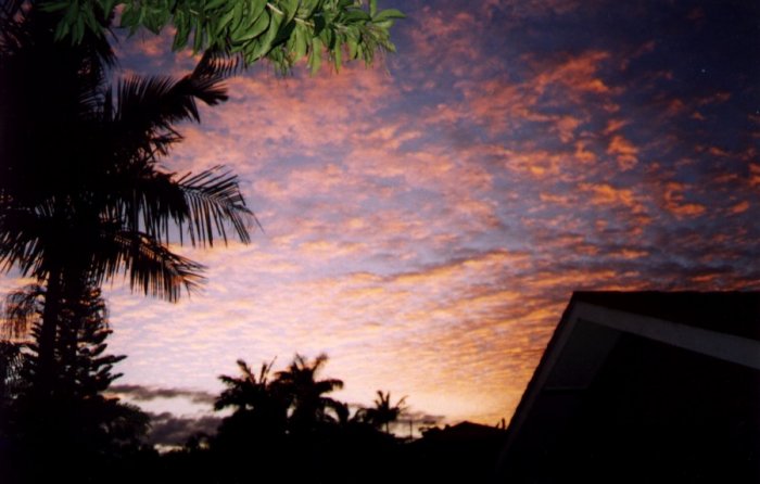 Taken by Anthony Cornelius