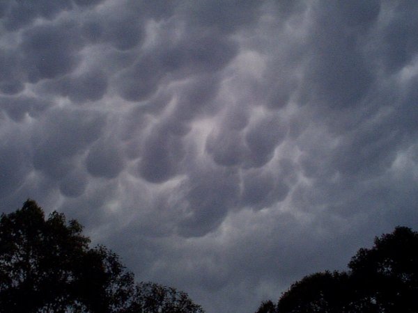 Taken by Anthony Spierings