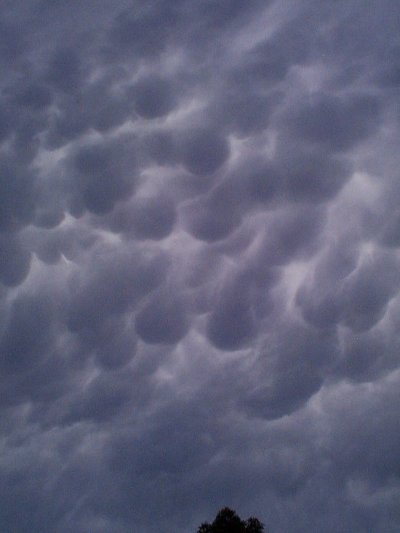 Taken by Anthony Spierings