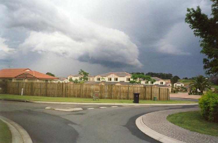 Photograph taken by Paul Miracki