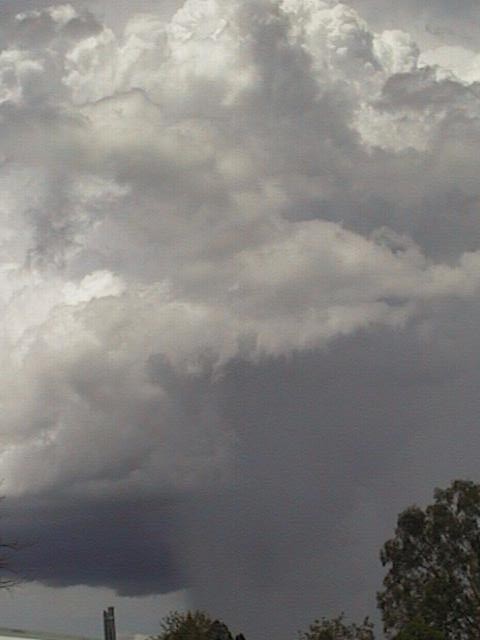 Photograph taken by Ross Portas