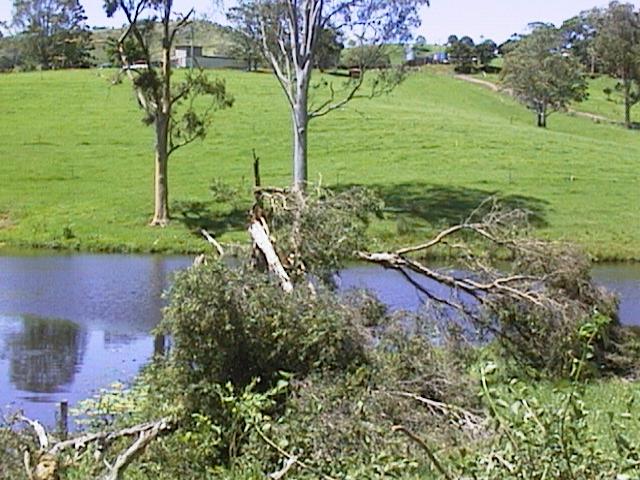Damage caused by the November 8 Ceder Pocket Tornado