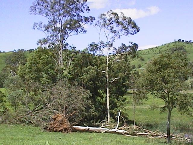 Damage caused by the November 8 Ceder Pocket Tornado