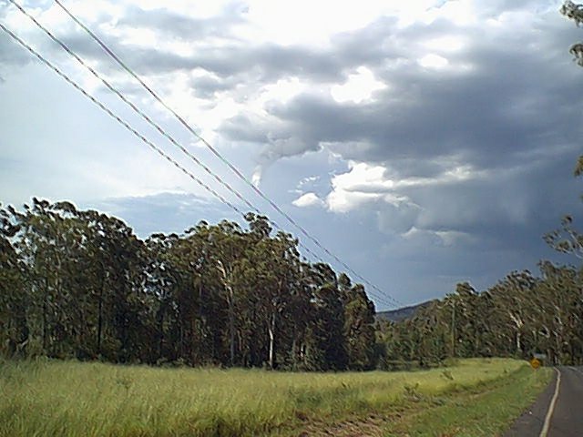 January 21, 2000 - Taken by Ben Quinn