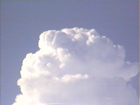 January 21, 2000 - Taken by Ben Quinn