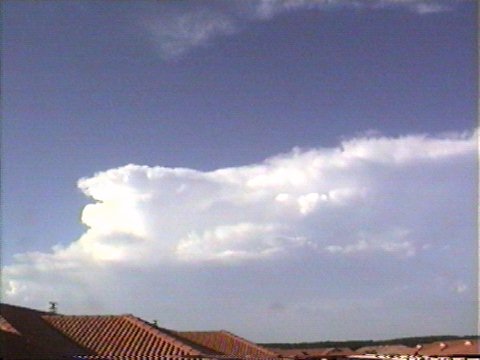 January 21, 2000 - Taken by Steve Baynham