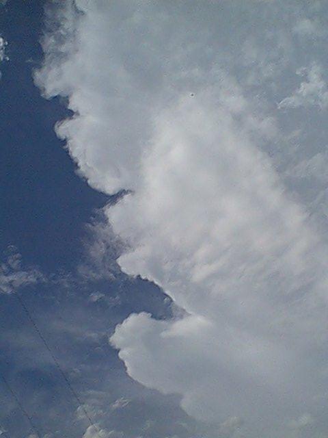 January 21, 2000 - Taken by Ben Quinn