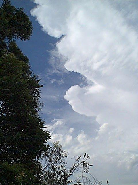 January 21, 2000 - Taken by Ben Quinn