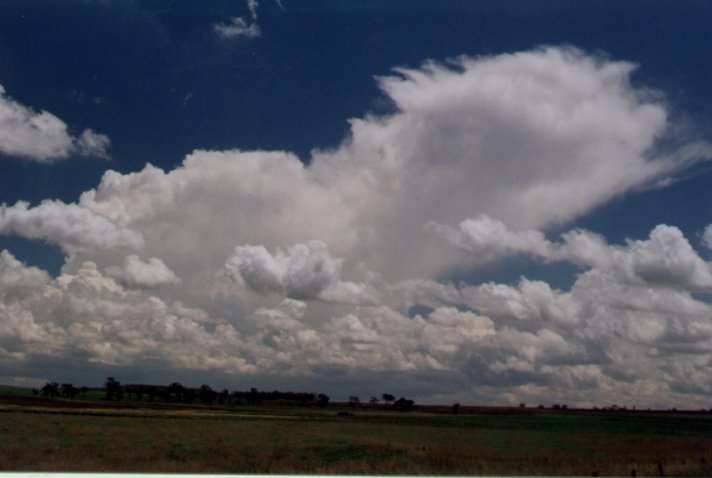 Taken by Damien Howes