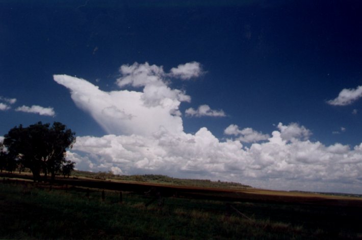 Taken by Damien Howes