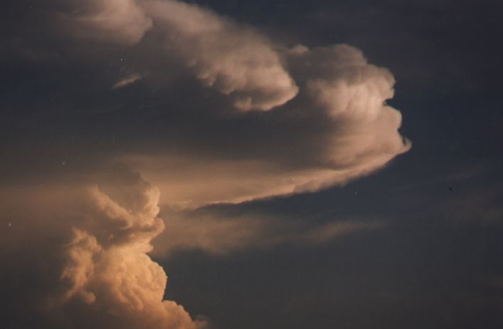 Photograph taken by Damien Howes