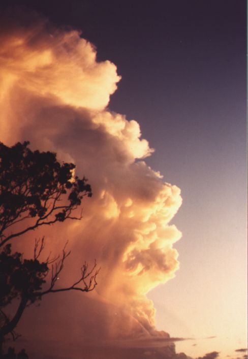 Taken by Damien Howes