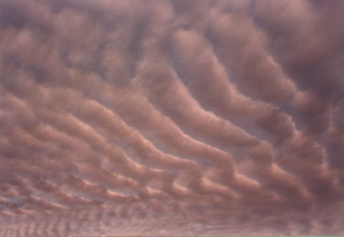 Taken by Damien Howes