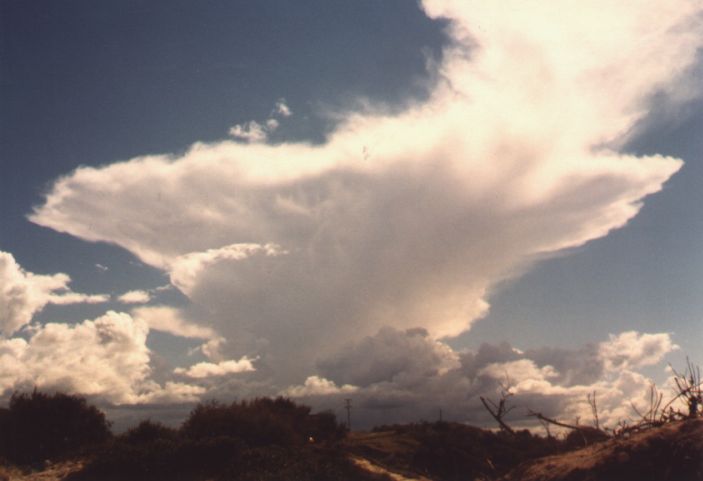 Taken by Damien Howes