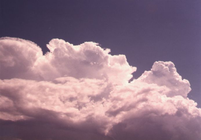 Taken by Damien Howes