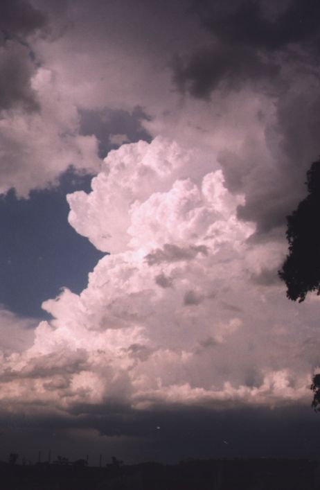 Taken by Damien Howes