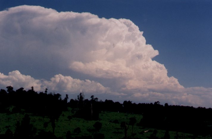 Taken by Damien Howes