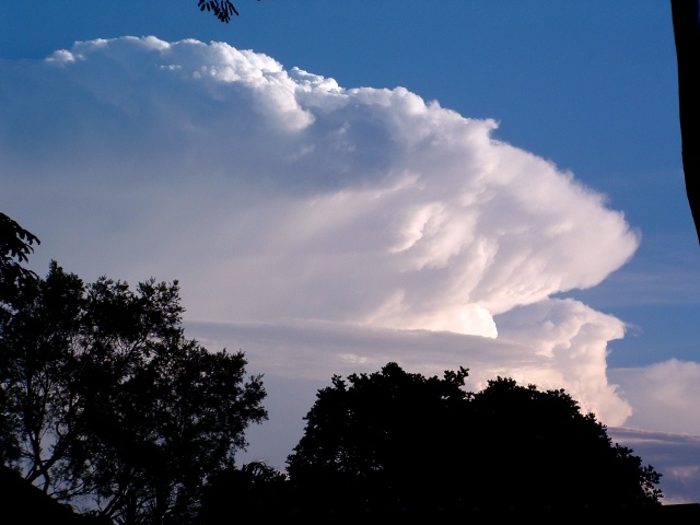 Photo  James Chambers