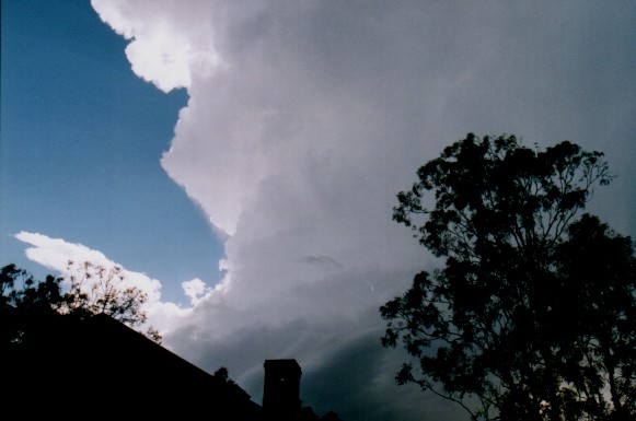 Taken by John Woodbridge